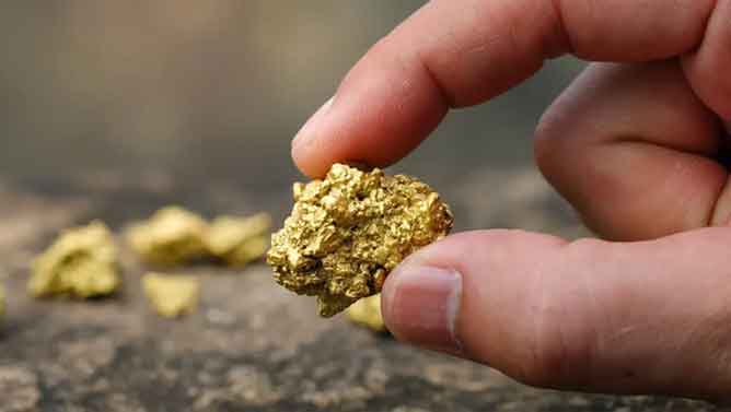 Proposta Sem Compromisso